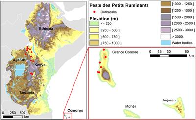 Spatial Multicriteria Evaluation for Mapping the Risk of Occurrence of Peste des Petits Ruminants in Eastern Africa and the Union of the Comoros